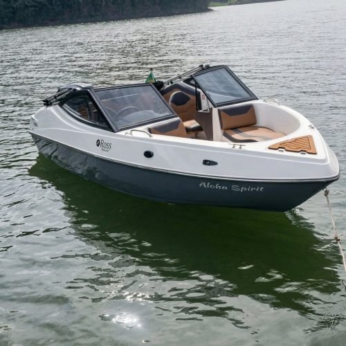capa 01