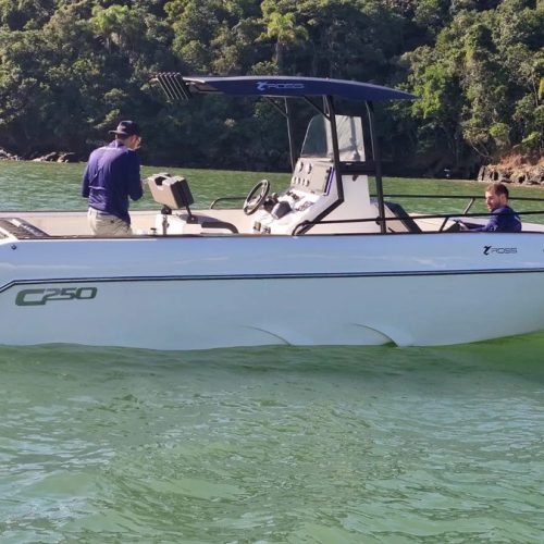 Lancha Ross Mariner C250 Ryder 25 pés pesca e lazer - foto 1