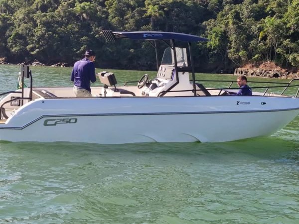 Lancha Ross Mariner C250 Ryder 25 pés pesca e lazer - foto 1